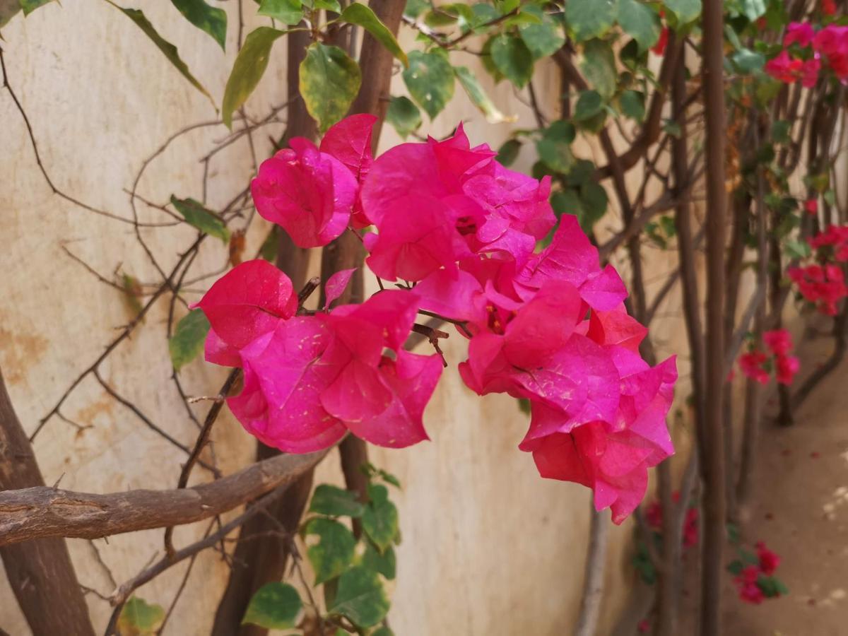 Keur Baboune M'Bour Ngoại thất bức ảnh